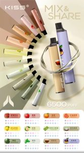 home_story_k65-1-1133×2048-1-166×300 🔋𝕂𝕀𝕊𝟝拋棄式𝟞𝟝𝟘𝟘口🔋